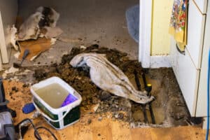 Damagre repair