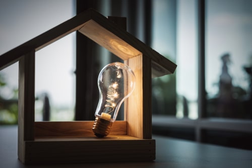 Lightbulb in small wood house